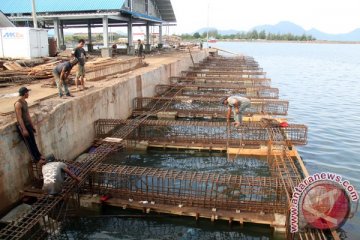 Pemerintah didesak segera kurangi kesenjangan infrastruktur perikanan