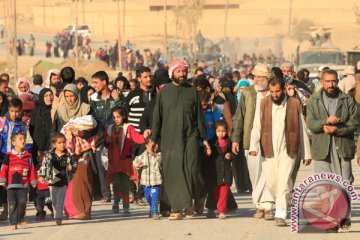 68.500 orang mengungsi karena operasi militer di Mosul