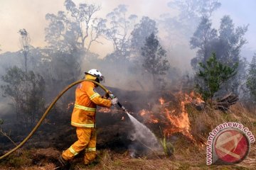 BMKG deteksi titik panas di Riau