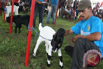 Mahasiswa UI teliti kulit kambing cangkang kapsul