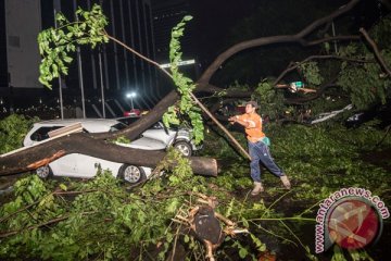 Hujan deras, ini 10 titik pohon tumbang dan banjir di Jakarta