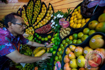 Jumlah pembeli buah anjlok selama musim hujan