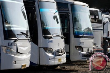 Damri Lampung siapkan 80 bus cadangan layani Lebaran 2018