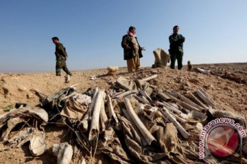 Dua kuburan massal suku Yazidi ditemukan dekat Mosul
