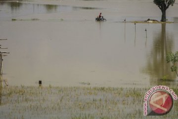 Banjir Bengawan Solo di hilir Jatim surut