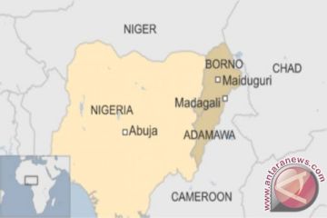 Presiden Nigeria perintahkan investigasi serangan drone oleh militer