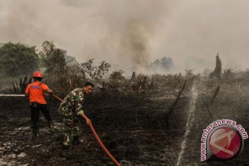 BRG diminta aktivis lingkungan Riau berani intervensi korporasi