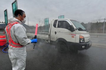FAO desak China berantas virus flu burung