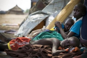 Kebakaran hutan di Sudan Selatan musnahkan empat desa, tewaskan 33