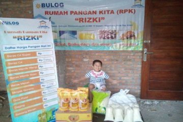 Bulog sebut 700 RPK di Papua dan Papua Barat tak aktif