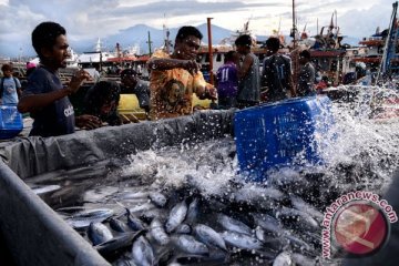 Tingkat konsumsi ikan masyarakat Temanggung lebihi target