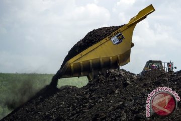 Tumpahan batu bara dinyatakan tak cemari laut