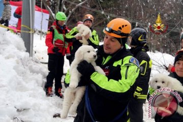 Damkar selamatkan 200 orang dalam insiden salju tebal di Italia