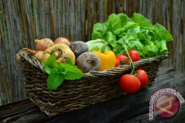 Apel dan sayuran hijau turunkan risiko terkena penyakit paru-paru