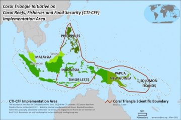 CTI-CFF koordinasi konservasi kelautan-perikanan berkelanjutan