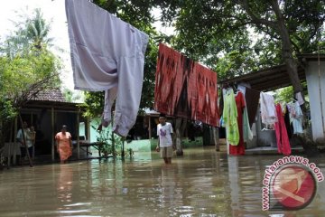 Banjir bandang landa Situbondo, ratusan rumah terendam