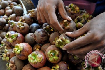 Manggis asal Purwakarta tembus pasar internasional