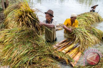 Nilai tukar petani turun 0,58 persen pada Februari