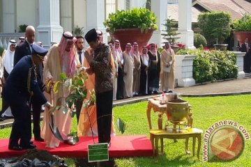 Raja Salman tanam pohon ulin di halaman Istana