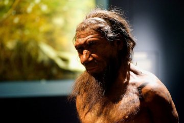 DNA plak gigi ungkap menu makanan Neanderthal