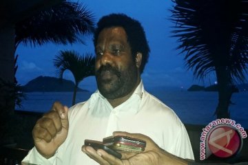 Lenis Kogoya sudah minta kepala adat redam situasi Papua Barat