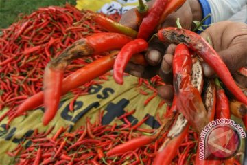Harga komoditas sayuran di Sukabumi berfluktuasi