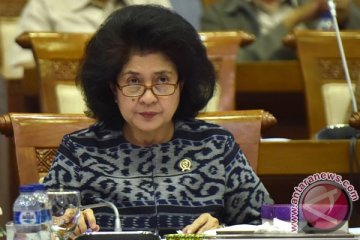 Menkes ingatkan ibu hamil jaga asupan gizi