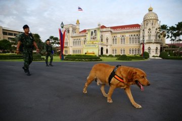 Polisi Thailand tangkap wanita tersangka penipu wisata