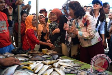 Menteri Susi: Laut Banda tempat bertelur ikan tuna