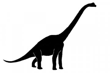 Ilmuwan Australia temukan jejak kaki dinosaurus besar