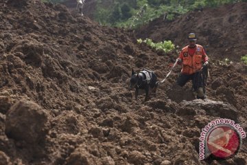 Anjing pelacak dikerahkan untuk cari korban longsor Ponorogo