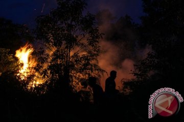Sembilan titik api ditemukan di Sintang Kalimantan Barat