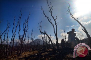 Jumlah pendaki Gunung Lawu berangsur normal