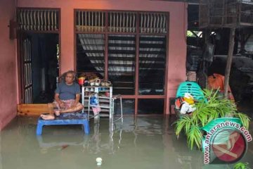 Empat desa di Siak terendam banjir