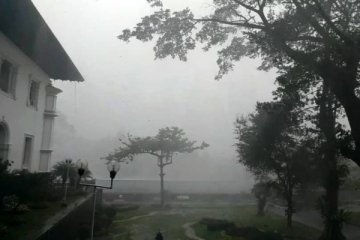 Hujan angin, sejumlah pohon di Bandung tumbang