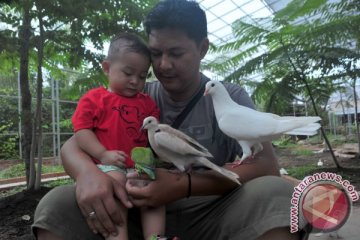 Taman burung Palembang pilih tutup saat libur Lebaran
