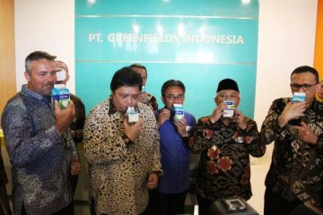 Pemerintah canangkan kemitraan industri olahan susu dengan peternak