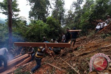 Myanmar sita 6.600 ton kayu ilegal