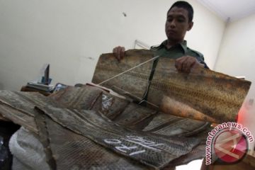 Penyelundupan Kulit Ular Phyton