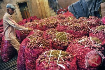 Cegah harga anjlok, alumni IPB beli 2,5 ton bawang merah