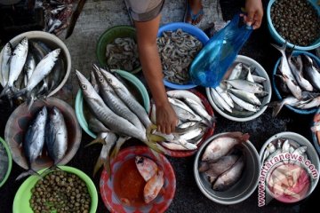 Bantul dorong peningkatan konsumsi ikan