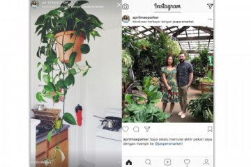 Instagram hadirkan fitur kemitraan bisnis