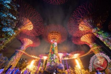 Lima tahun keajaiban di Gardens by the Bay