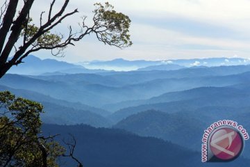 Haka gandeng Google jelajahi ekosistem Leuser