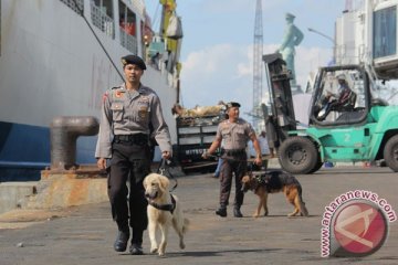 KM Kumala terlambat sandar terhalang evakuasi pickup yang tercebur di dermaga