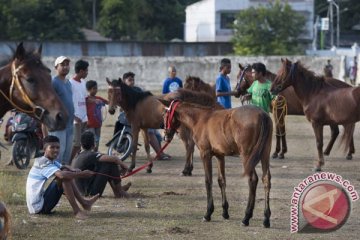 Pariwisata Sumba Barat Daya harus ditunjang keamanan