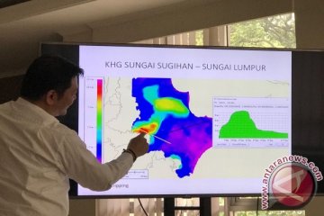 Restorasi 848.325 hektare gambut di Sumatera Selatan dipercepat