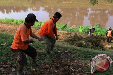 Mentan ingin bantaran Banjir Kanal Timur ditanami sayuran