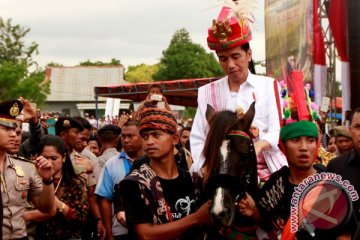 Presiden Jokowi dikirimi dua kuda jantan sandelwood