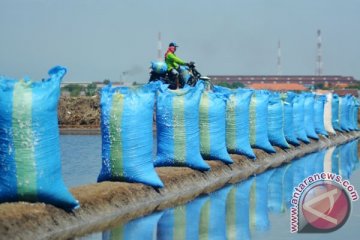 Garam langka di negeri maritim fenonema ganjil, kata akademisi